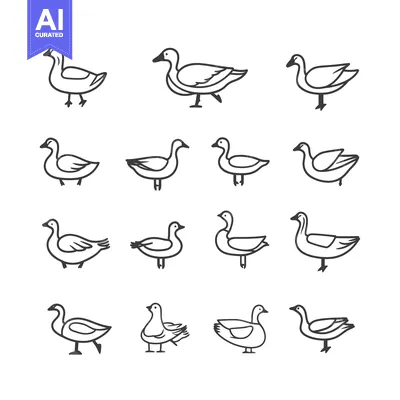 Aset premium populer: Fourteen Simple Line Drawings of Ducks