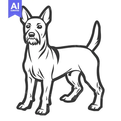 Aset premium populer: Black and white line art depicting a standing dog illustration