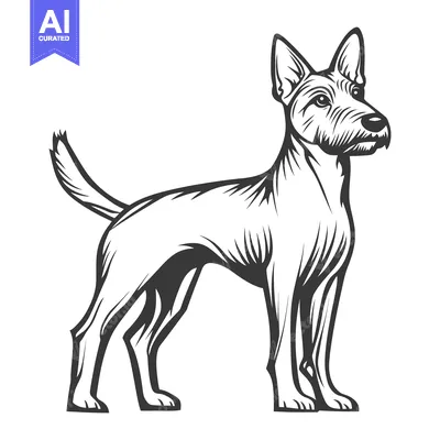 Aset desain premium: A monochromatic illustration of a dog standing in profile