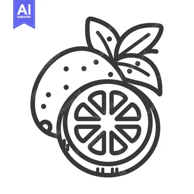 Aset desain premium: A simple vector illustration depicting a citrus fruit with leaves