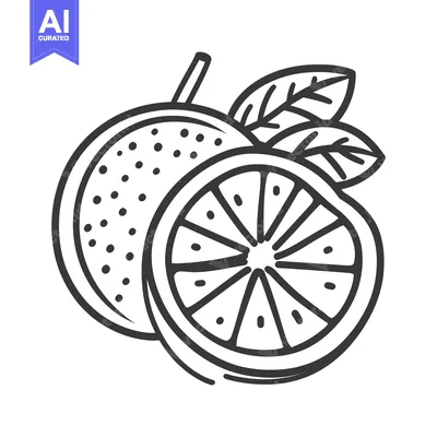 Popular premium asset: A line drawing depicting a citrus fruit with a sliced portion