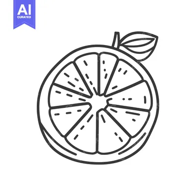 Aset premium populer: A black and white illustration of a sliced citrus fruit