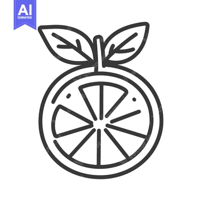 Aset desain premium: A simple black and white illustration of a sliced citrus fruit