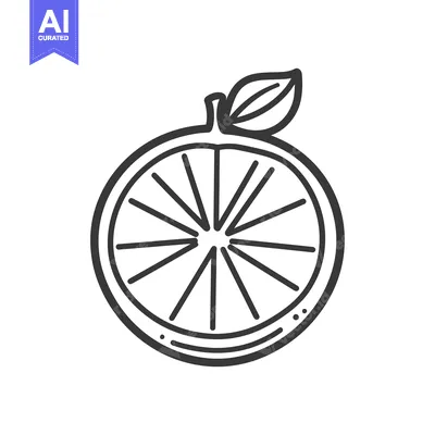 Aset premium populer: A simple monochrome illustration depicting a sliced citrus fruit with