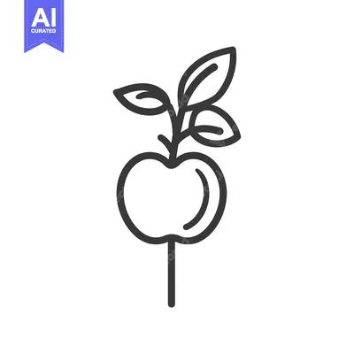 Aset premium populer: A line art drawing of a fruit with leaves on it