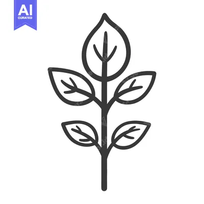 Aset desain premium: A black and white illustration of a plant with multiple leaves