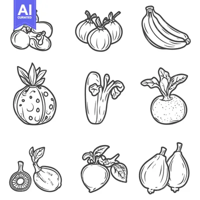Aset premium populer: Outlined drawings of various kinds of delicious vegetables and fruits