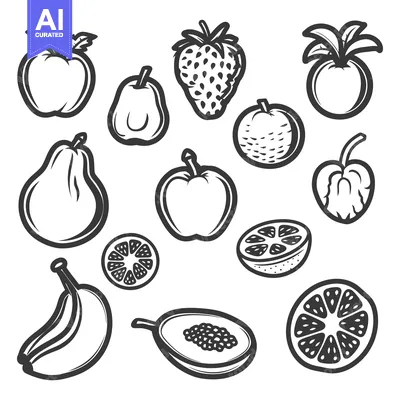 Aset desain premium: A collection of various illustrations of different kinds of fruits