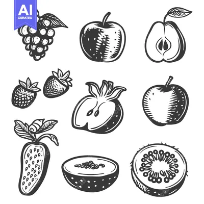 Aset premium populer: A collection of various monochrome illustrations of delicious fruits