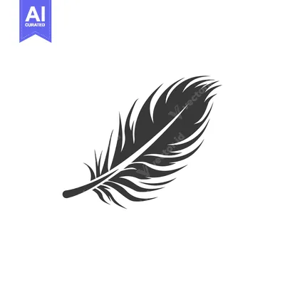 Aset premium populer: A single dark colored feather rests against a white background
