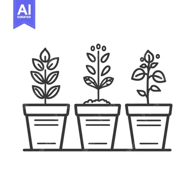 Aset desain premium: Three potted plants with unique leaves growing side by side