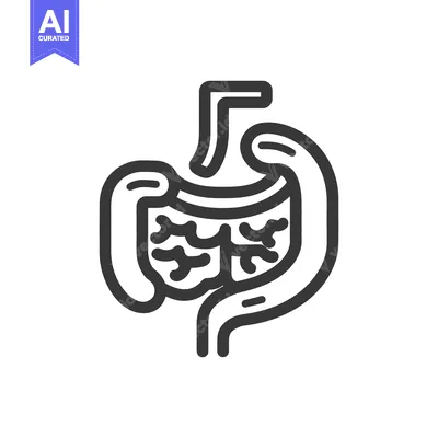 Aset premium populer: Stylized Human Digestive System Icon, Bold Outline, Medical Illustrati