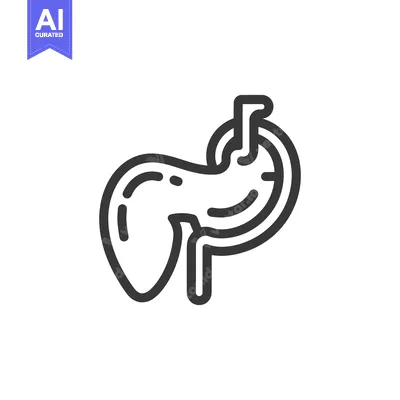 Popular premium asset: Pancreas Anatomy Outline Icon, Medical Illustration, Digestive System,