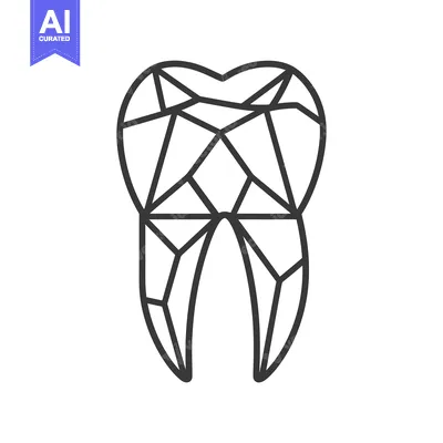 Geometric Line Art Representation of a Tooth