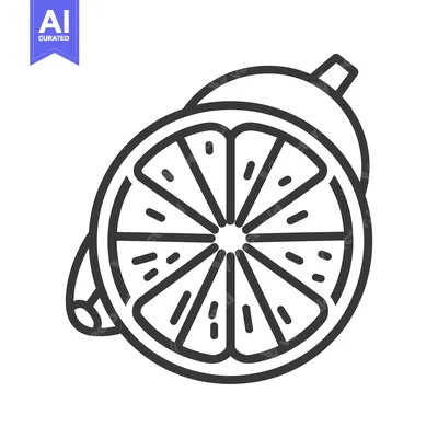Aset premium populer: Black and white line drawing of sliced citrus fruit