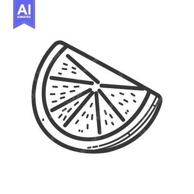 Aset premium populer: A Simple Black And White Drawing Of Citrus Fruit Slice