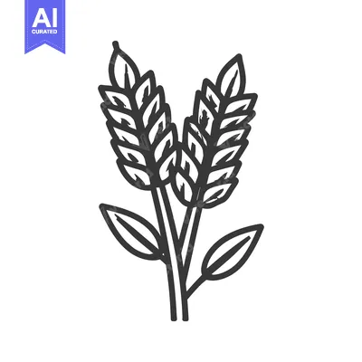 Aset desain premium: Minimalist Wheat Stalks Illustration, Black Outline on White Backgroun