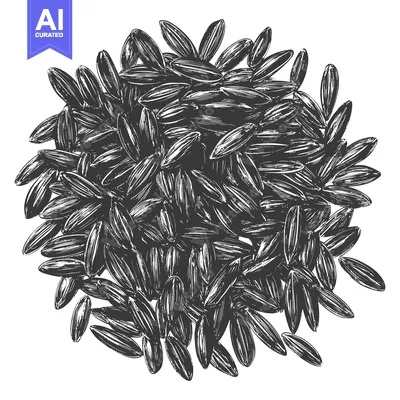 Aset premium populer: A Pile Of Dark Sunflower Seeds Arranged In A Circle