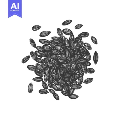 Aset desain premium: A Scattered Pile Of Black Sunflower Seeds
