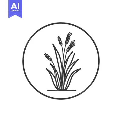 Popular premium asset: Minimalist Rice Plant Icon in Circle, Black and White Outline