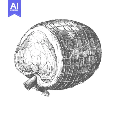 Popular premium asset: A Detailed Drawing Of A Sliced Smoked Ham
