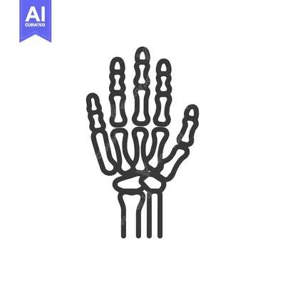 Anatomical Hand Skeleton Outline: Medical Illustration on White Backgr