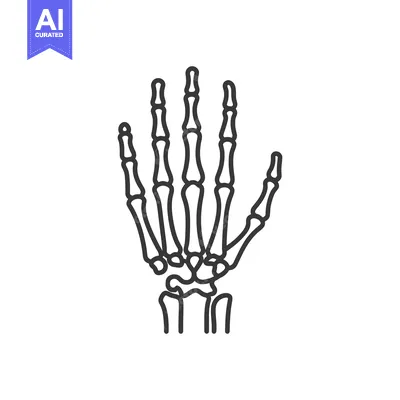 Anatomical Hand Skeleton Outline: Medical Illustration on White Backgr