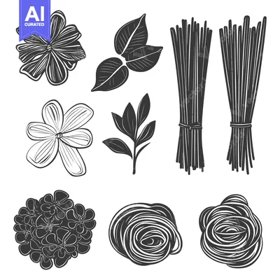 Aset desain premium: Hand Drawn Black and White Floral and Noodle Illustrations