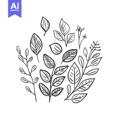 Popular premium asset: Hand-Drawn Black and White Floral Illustration with Various Leaves and