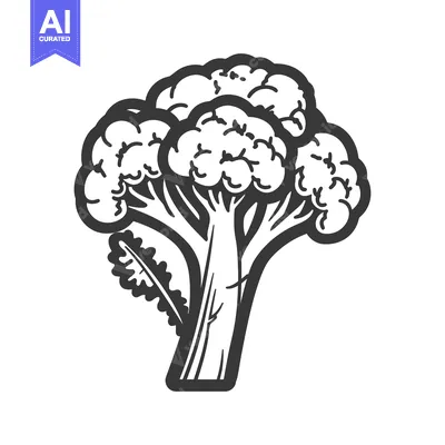 Aset premium populer: Hand-Drawn Black and White Illustration of a Broccoli Floret