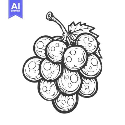 Hand-drawn Black and White Illustration of a Bunch of Grapes