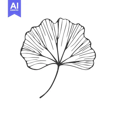 Aset premium populer: Hand-Drawn Black and White Illustration of a Ginkgo Leaf