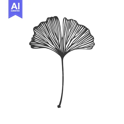 Popular premium asset: Hand-Drawn Black and White Illustration of a Ginkgo Leaf