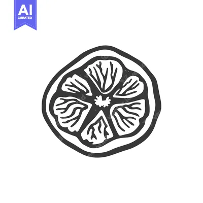 Aset premium populer: Hand-drawn black and white illustration of a lemon slice