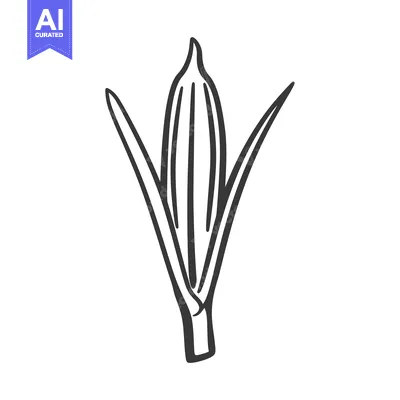 Aset desain premium: Hand-Drawn Black and White Illustration of a Single Corn Cob