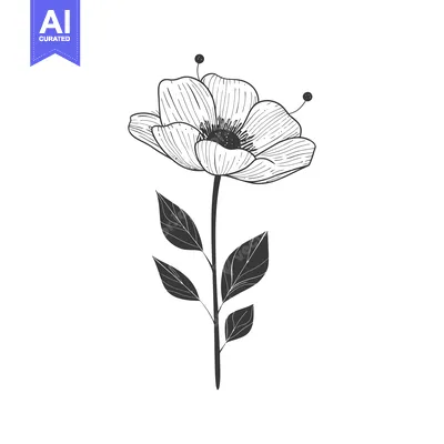 Aset desain premium: Hand-Drawn Black and White Illustration of a Single Flower with Leaves