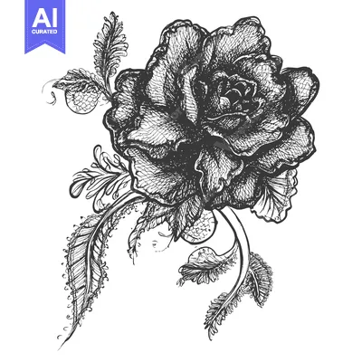Aset desain premium: Hand-drawn black and white illustration of a single rose with intricat