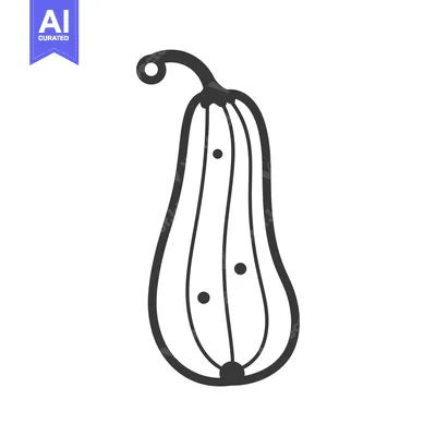 Aset desain premium: Hand-drawn black and white illustration of a squash