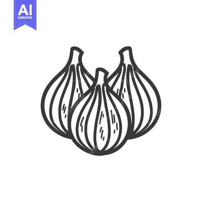 Popular premium asset: Hand-drawn black and white illustration of three garlic cloves
