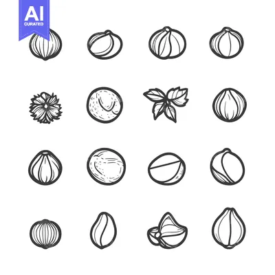 Hand-Drawn Black and White Illustrations of Nuts and Seeds