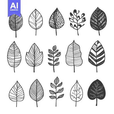 Popular premium asset: Hand-drawn black and white illustrations of various leaf and twig shap