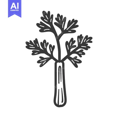 Aset premium populer: Hand-drawn black and white line art illustration of a celery stalk