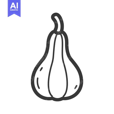 Aset premium populer: Hand-drawn black and white outline illustration of a butternut squash