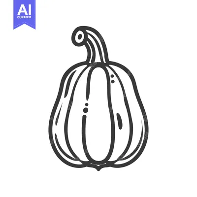 Aset desain premium: Hand-drawn black and white outline illustration of a pumpkin