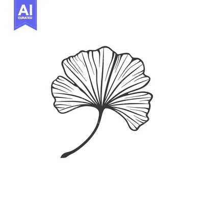Premium design asset: Hand-Drawn Black and White Outline of a Ginkgo Leaf