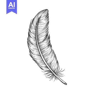 Aset premium populer: Hand-Drawn Detailed Black and White Bird Feather Illustration