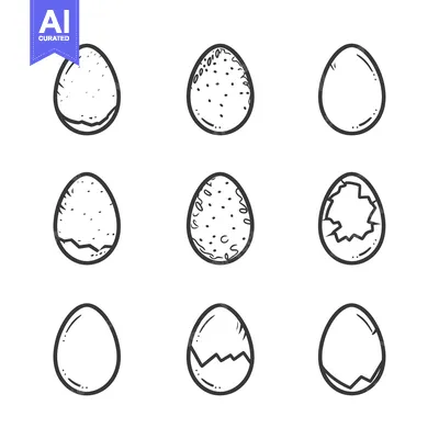 Popular premium asset: Hand-drawn Egg Stages in Black and White