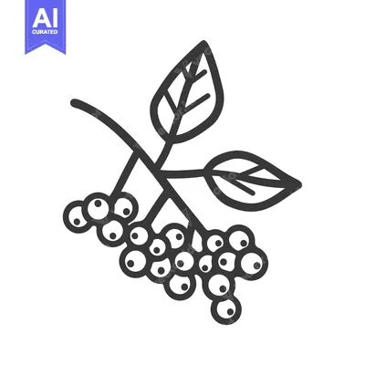 Aset desain premium: Hand-drawn illustration of a branch with berries and leaves