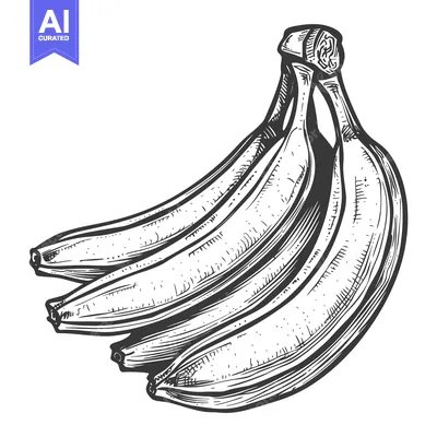 Aset premium populer: Hand-drawn illustration of a bunch of bananas in black and white