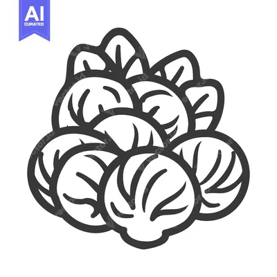 Aset premium populer: Hand-drawn Illustration of a Bunch of Brussels Sprouts